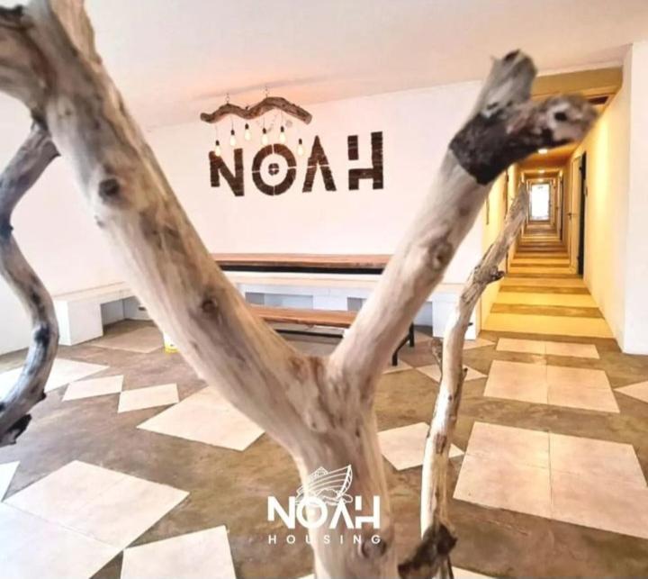 Noah Housing Hostel Santo Tomé Exterior photo